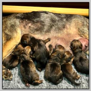 Born-5.7.24 (1+5)