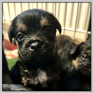 Minun nappisilmät 🥰😍