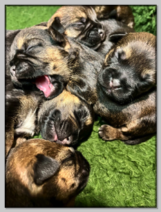 O sole mio!