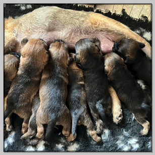 Milk bar!